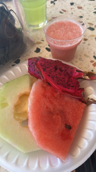 Gastro Seashell Vega