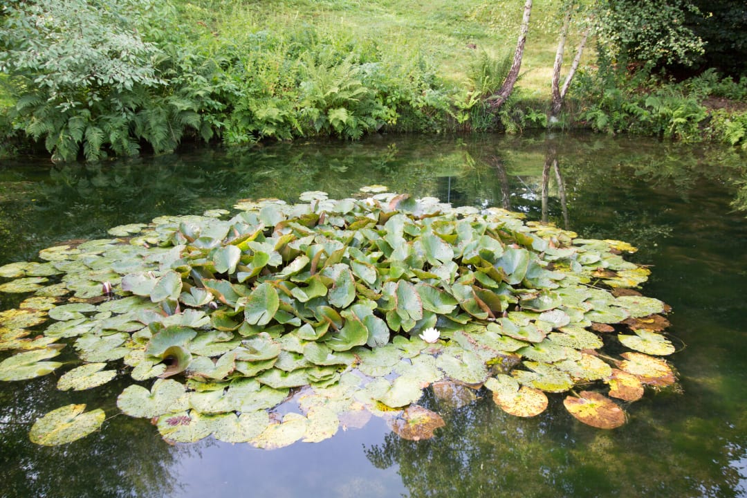Gartenanlage Gästehaus Falkenau