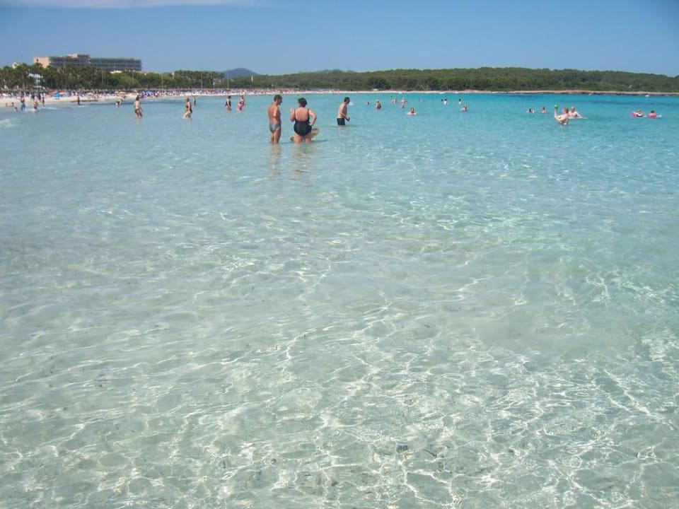 Playa Sa Coma Aparthotel Playa Dorada