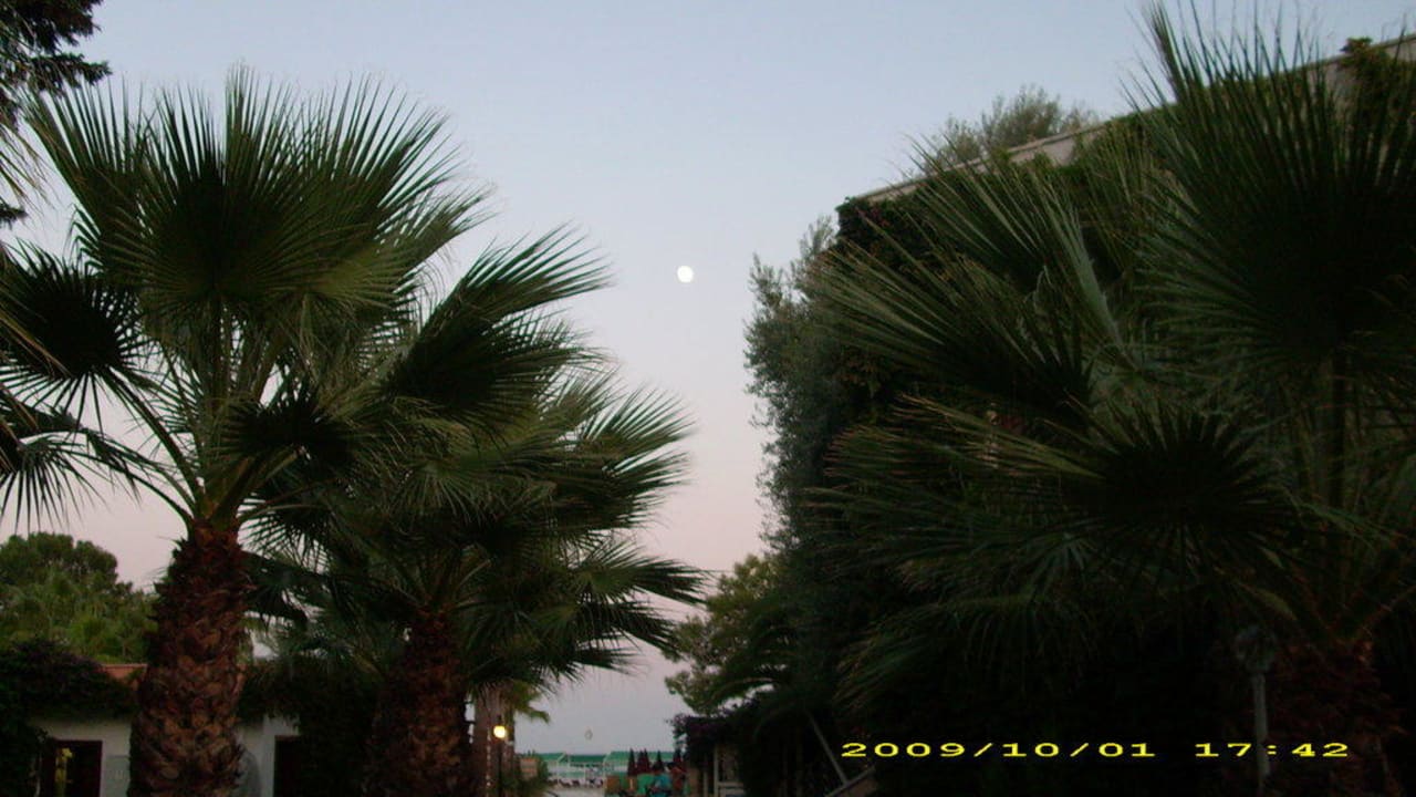 Mondaufgang Club Boran Mare Beach