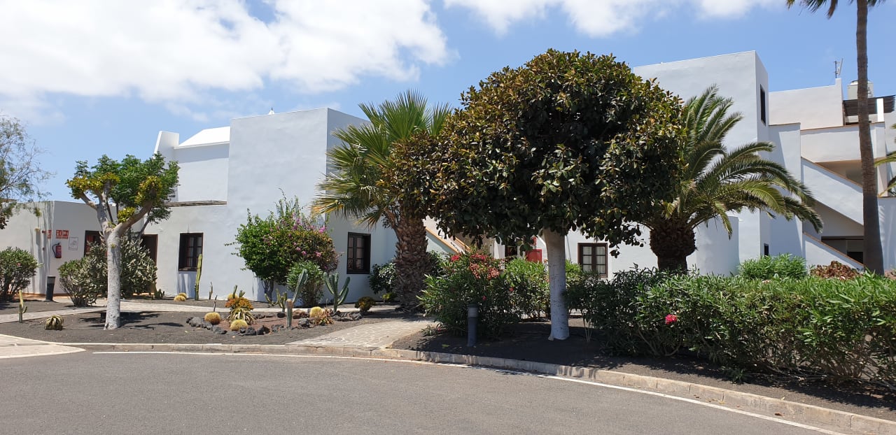 Ausblick allsun App.-Hotel Albatros