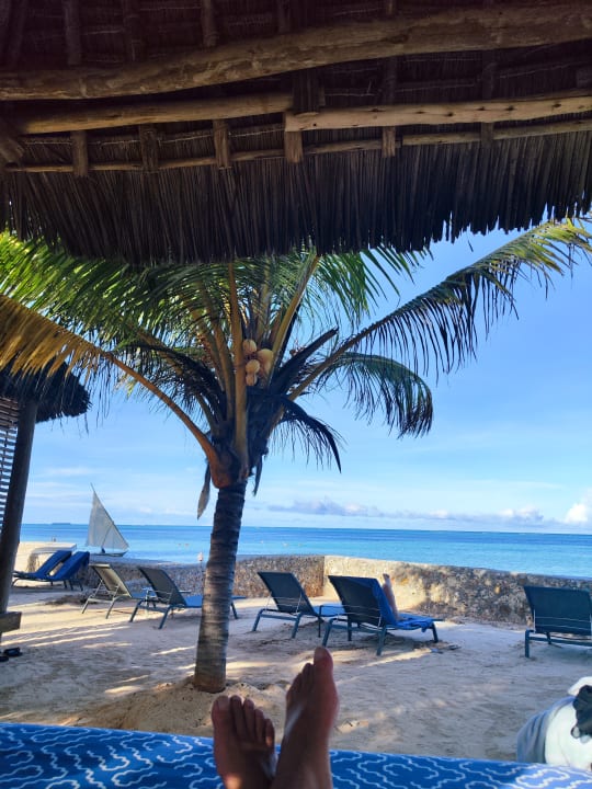 Ausblick TUI Blue Bahari Zanzibar