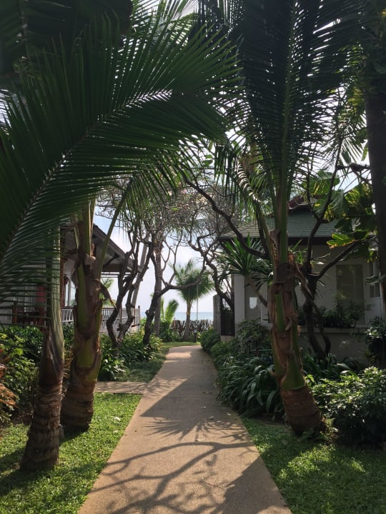 Weg zum Strand Banana Fan Sea Resort