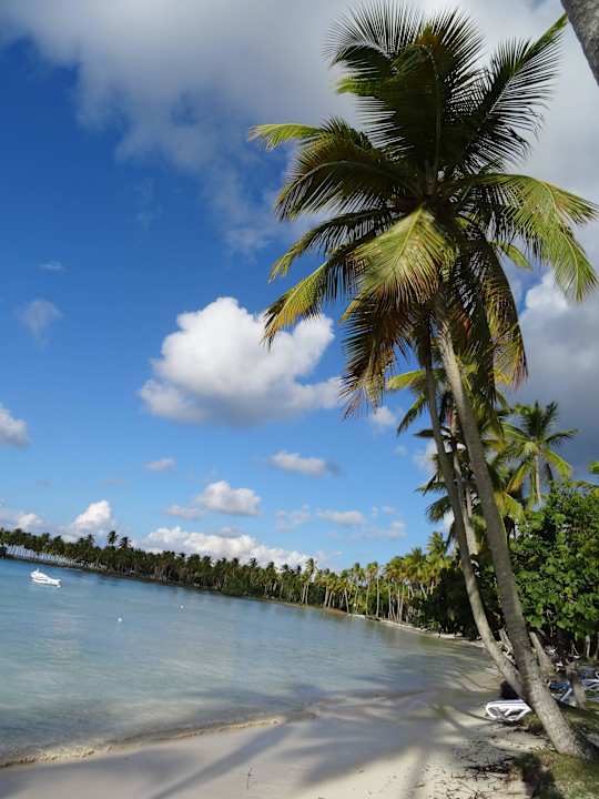 Wunderbarer Strand! Wyndham Alltra Samana