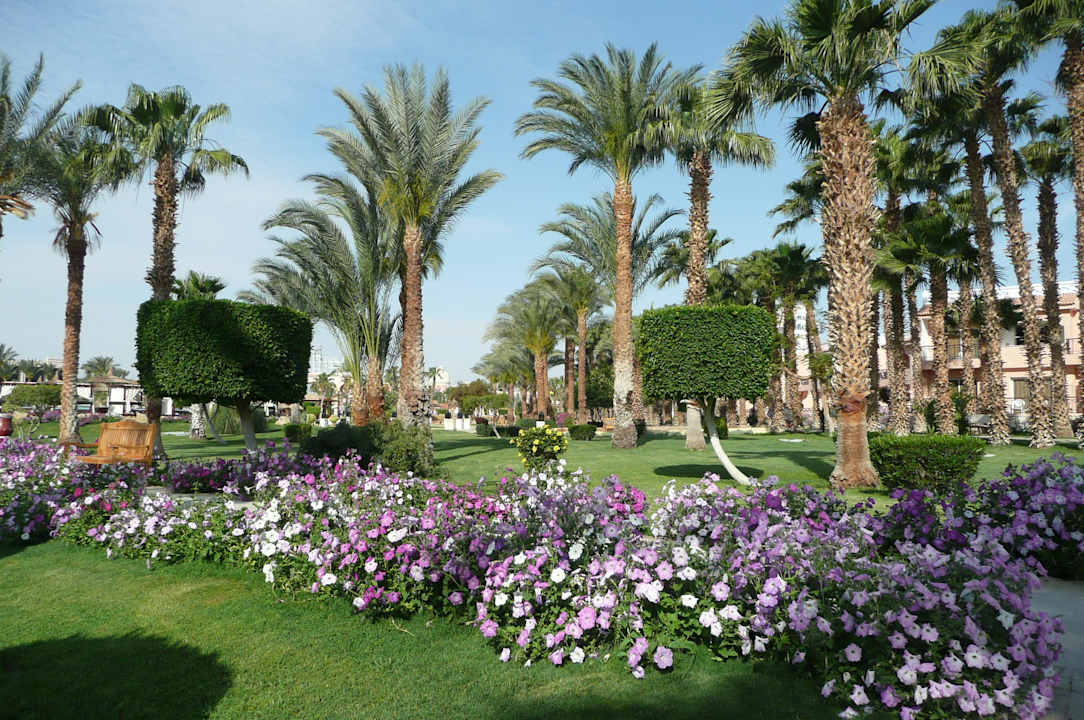Blumenduft zieht sich durch den gesamten Garten Beach Albatros Resort