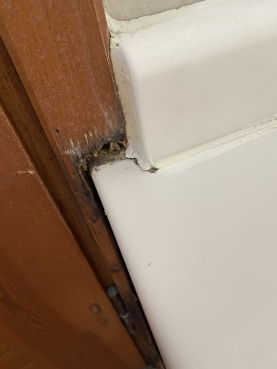 Zimmer Sentido Kyknos Beach Adults Only 16+