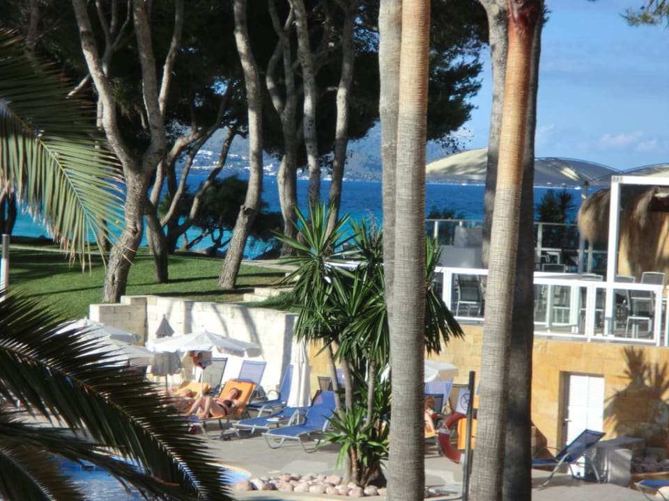 Blick aus dem Zimmer Iberostar Waves Playa de Muro