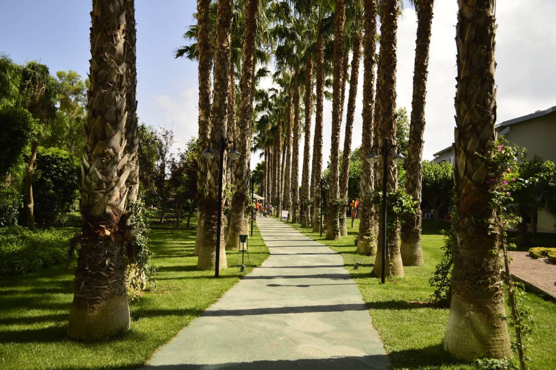 Palmenallee Hotel Gardenia Beach