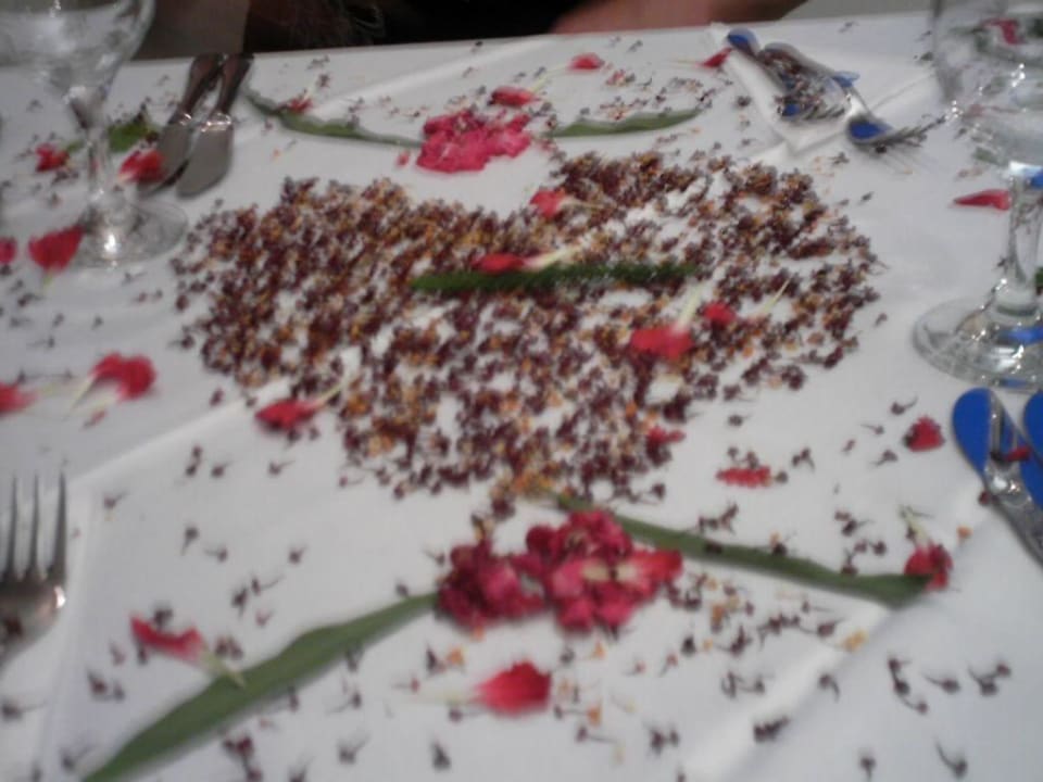 Tischdekoration Asteria Collection Side