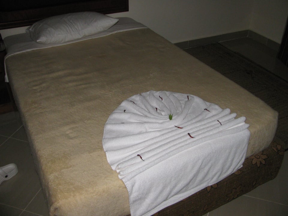 Hotel Coral Hills Resort Marsa Alam  Coral Hills Resorts & SPA