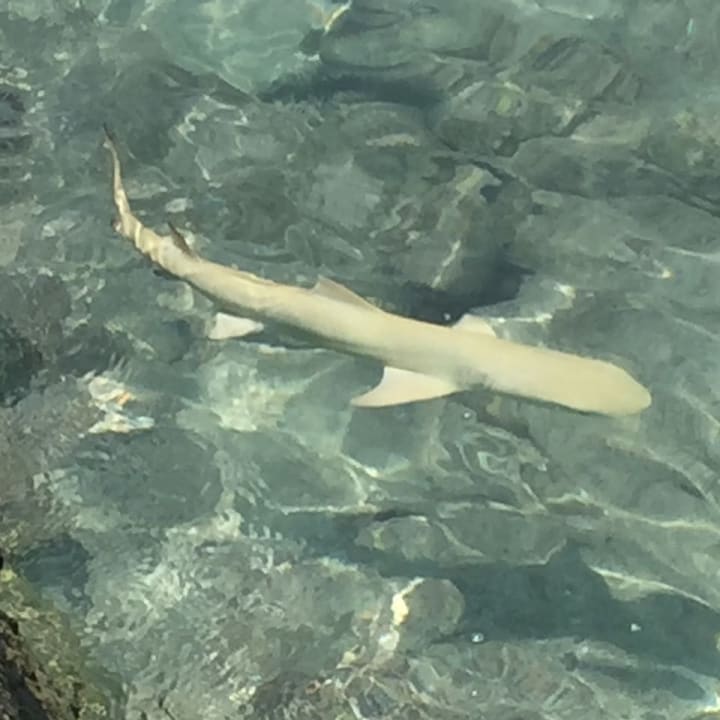 Strand Adaaran Select Meedhupparu Island Resort - Premium All Inclusive