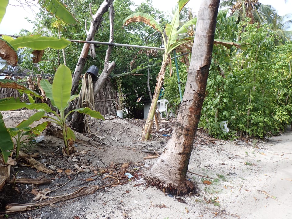 Gartenanlage Angaga Island Resort