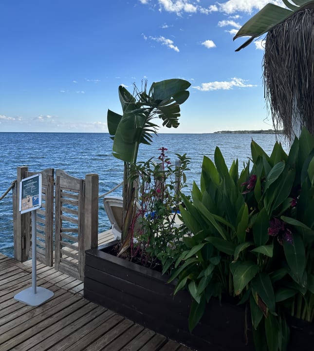 Strand TUI MAGIC LIFE Beldibi +16