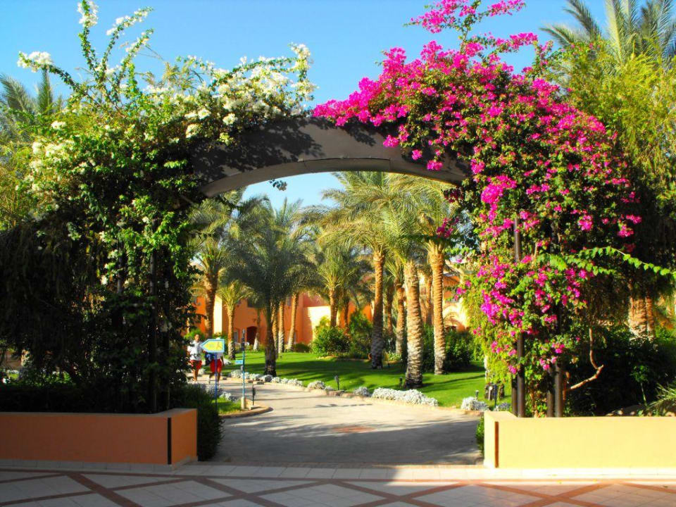 Ogród Jaz Makadi Oasis Resort