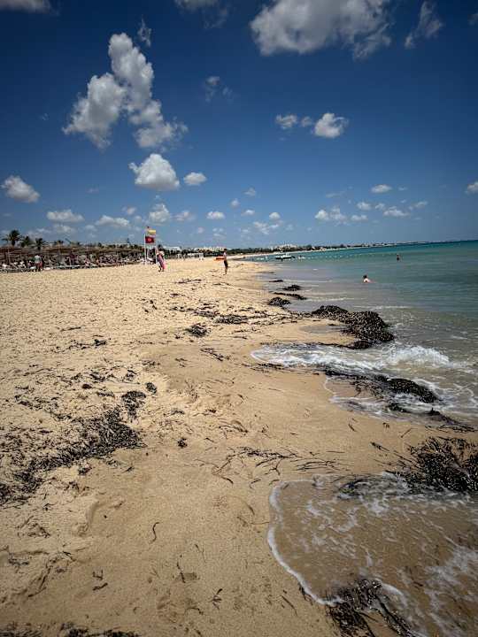 Strand Hotel Royal Nozha