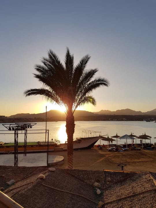 Strand Pickalbatros Aqua Park Resort - Sharm El Sheikh