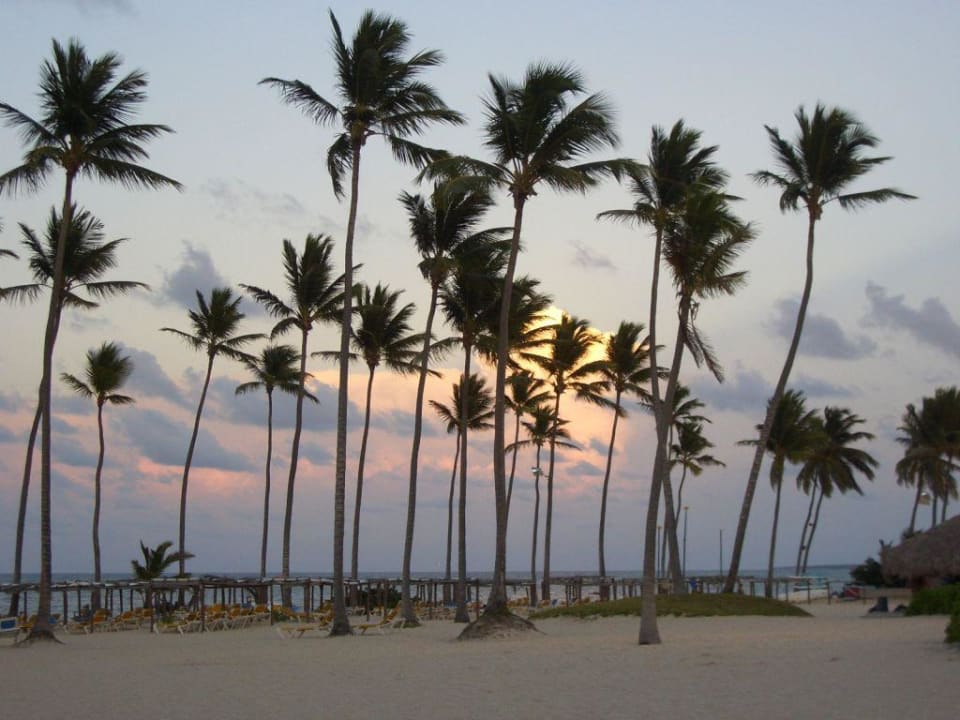 Sonnenuntergang Ocean Blue & Sand