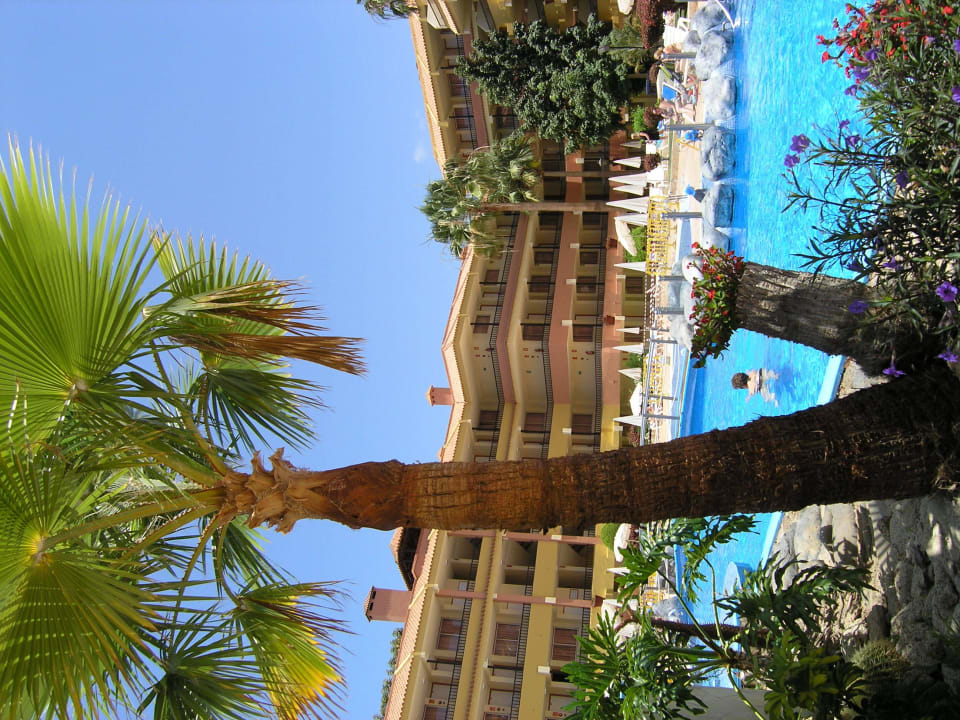 Basen HOVIMA Jardin Caleta