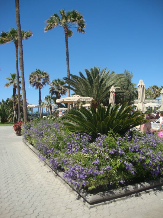 Gartenanlage Riu Club Gran Canaria Hotel Riu Gran Canaria