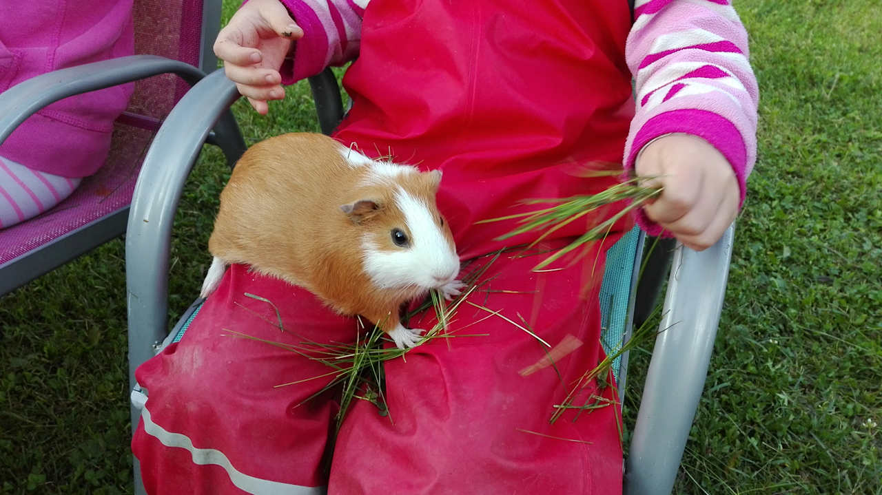 Sport & Freizeit Kindererlebnisbauernhof Jörgleggerhof