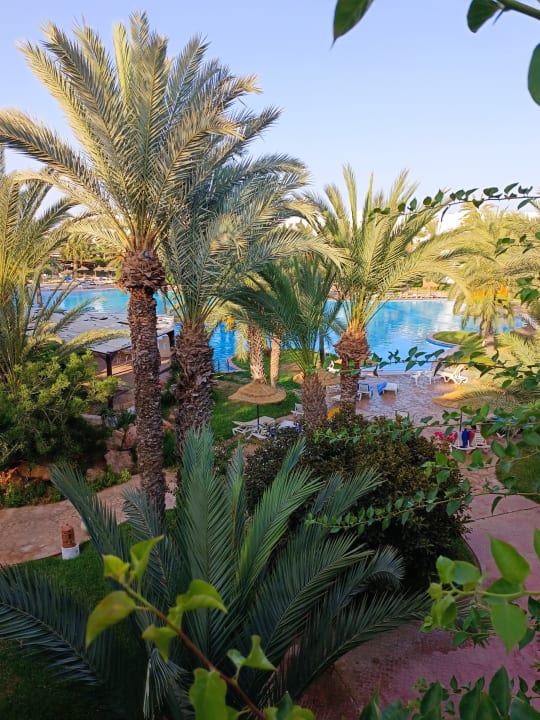 Gartenanlage Hotel Djerba Resort
