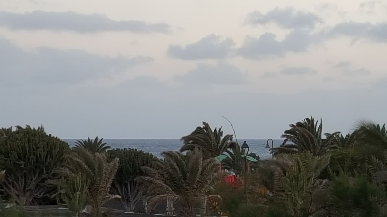 Ausblick allsun App.-Hotel Albatros