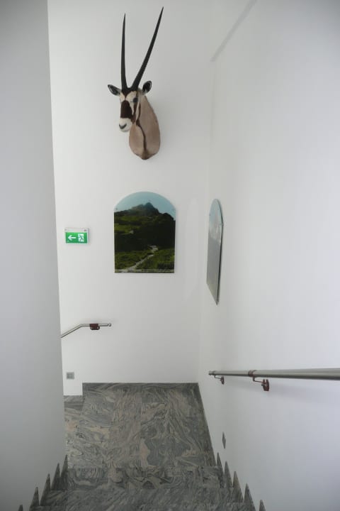 Treppen-Aufgang Hotel Alpenwelt