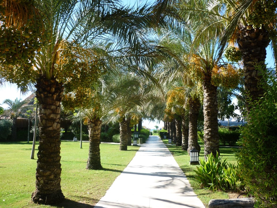 Weg zum Strand Royal Wings Hotel