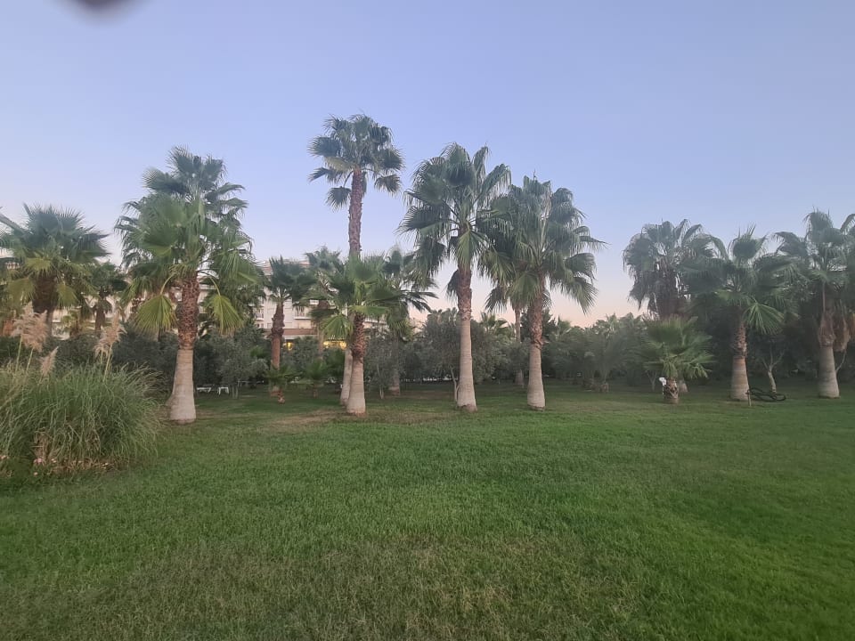 Gartenanlage Seaden Sea World Resort & Spa