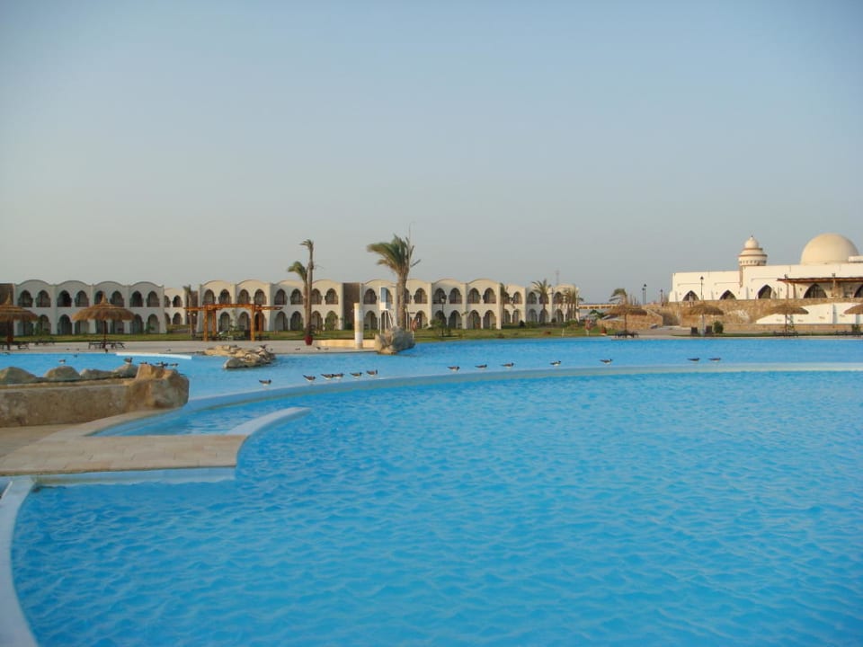 Ohne Worte Hotel Gorgonia Beach Resort