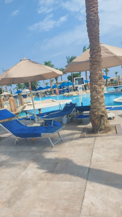 Pool Pickalbatros Palace Resort
