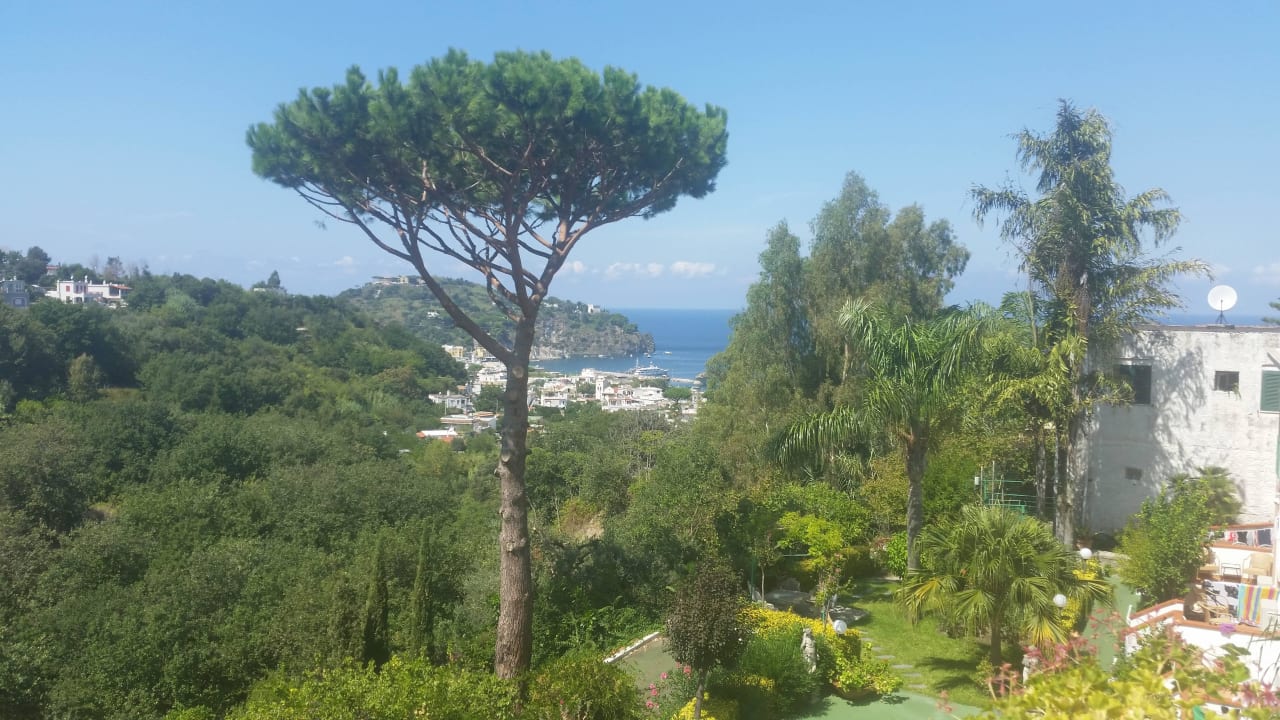 Blick vom Hotel Hotel La Pergola & Villa Flavio Ischia