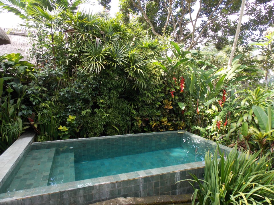 Eigener kleiner Pool, Tiefe 1,40 m Maya Ubud Resort & Spa Bali