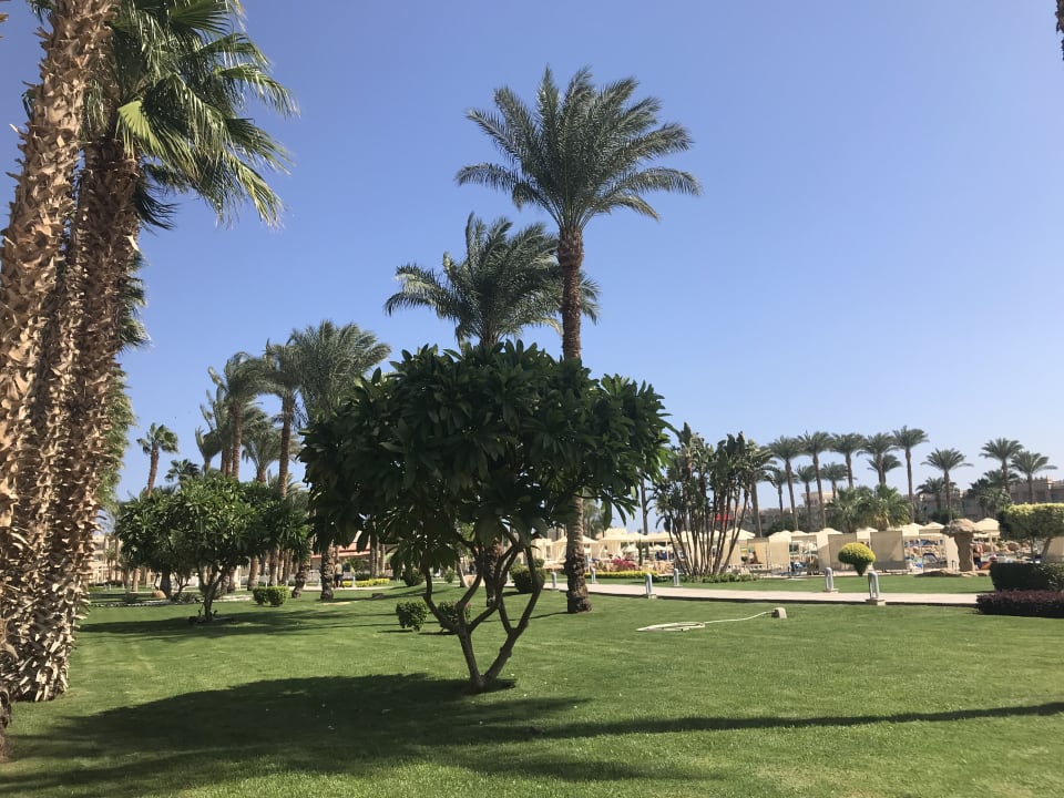 Außenansicht Beach Albatros Resort