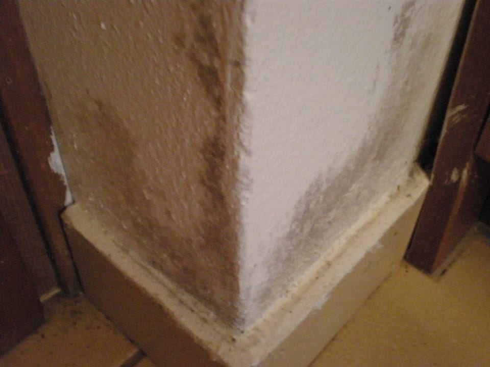 Schimmel in jeder Ecke Delfina Boutique Hotel