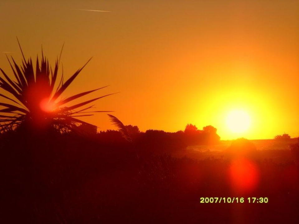 Sonnenuntergang mit Palme Hotel Horizon Beach Resort