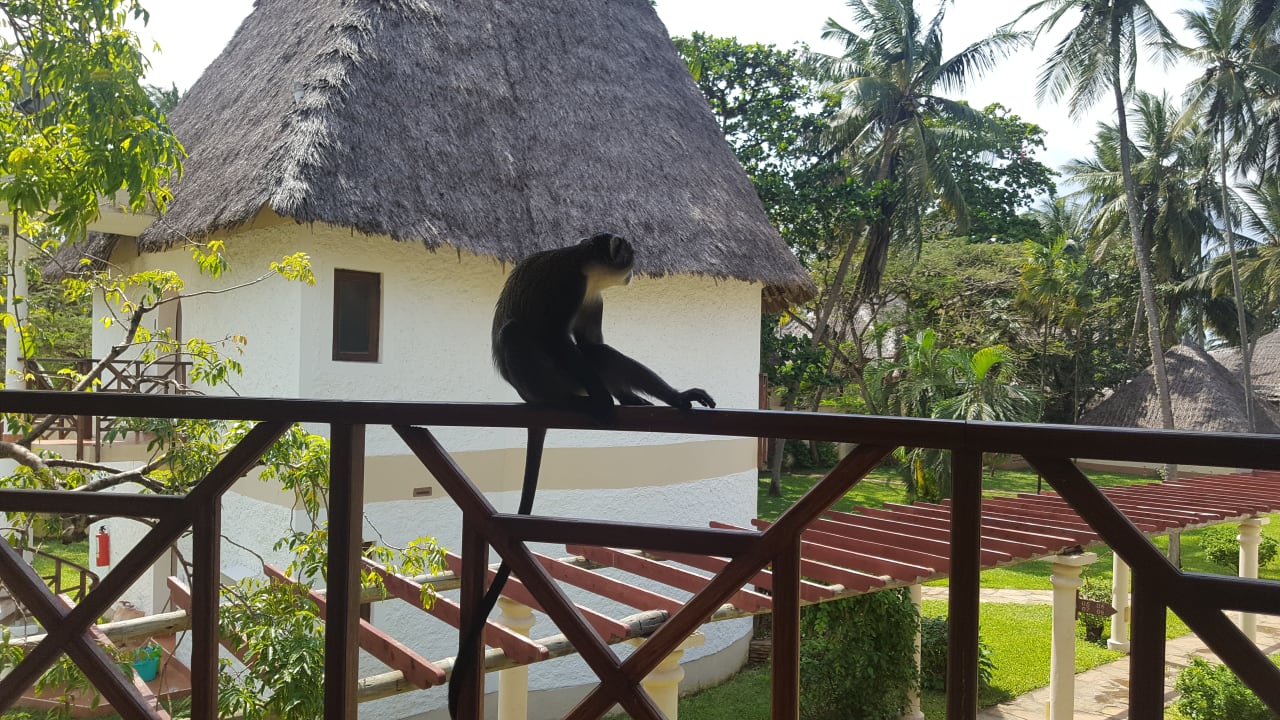 Zimmer Neptune Village Beach Resort & Spa