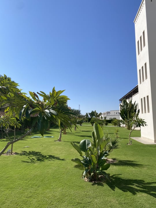 Gartenanlage Steigenberger Resort Alaya Marsa Alam - Red Sea - Adults only
