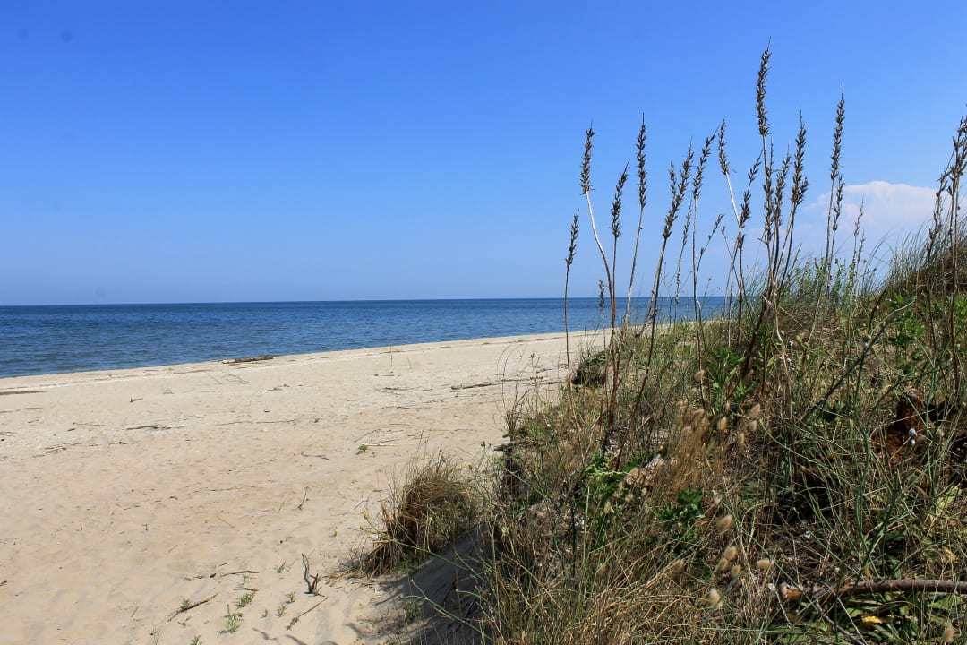 Strand Hotel Astor B&B Lido di Classe