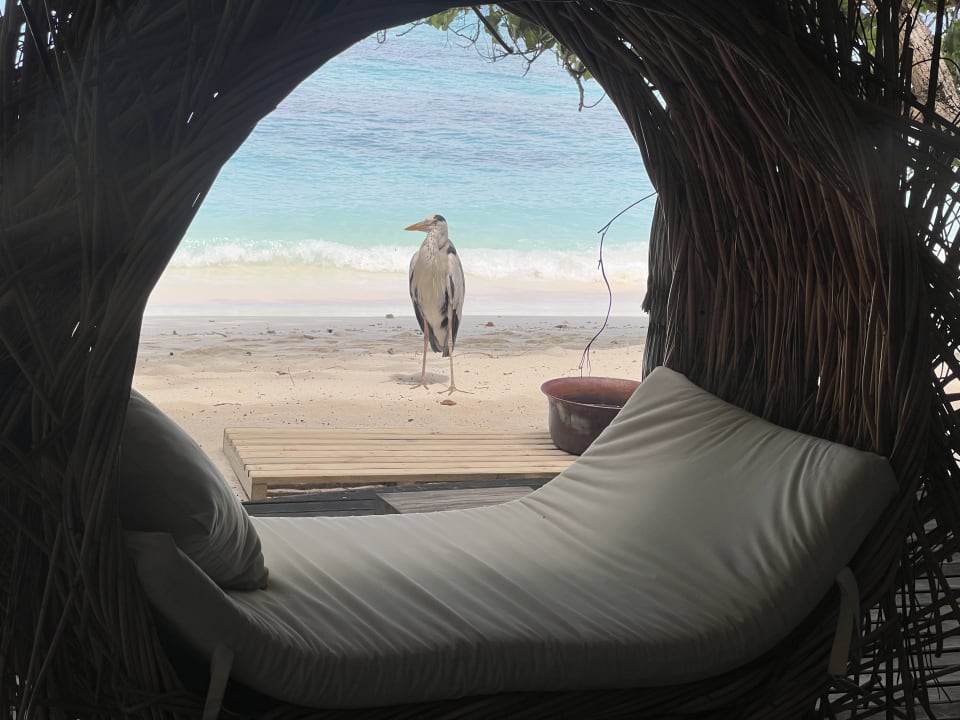 Sonstiges Reethi Beach Resort
