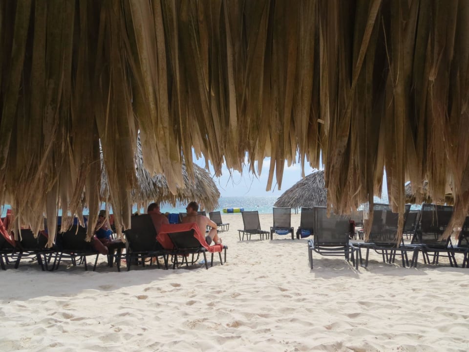 Aussicht auf das Meer aus Sonnenliegen-Reihe 5 Dreams Royal Beach Punta Cana