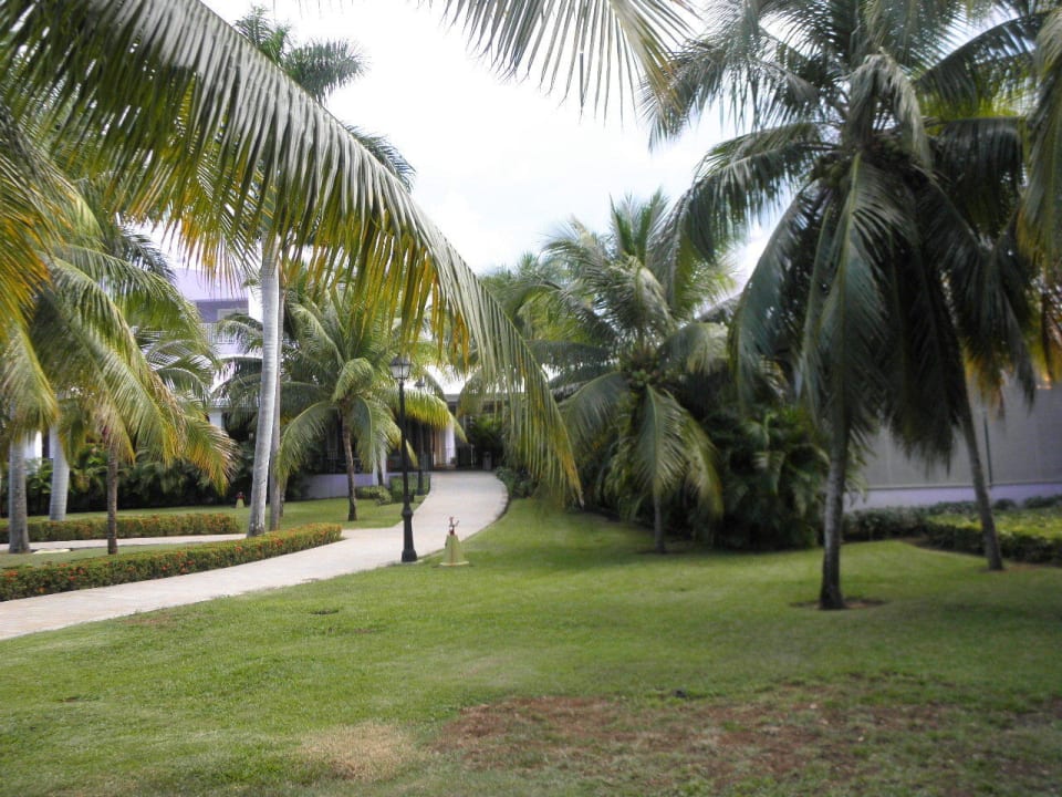Hotel Riu Montego Bay - Adults Only