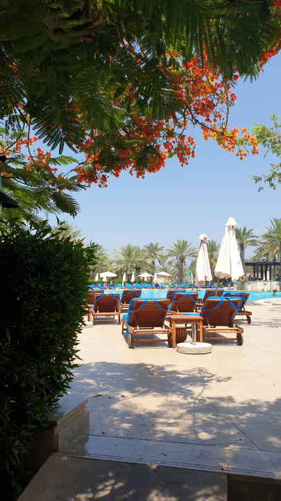 Pool Miramar Al Aqah Beach Resort