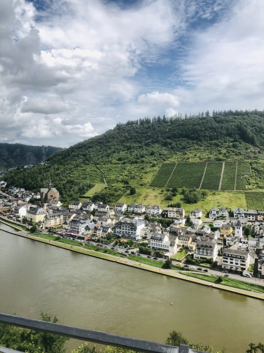 Ausblick Moselstern Hotel Brixiade & Triton