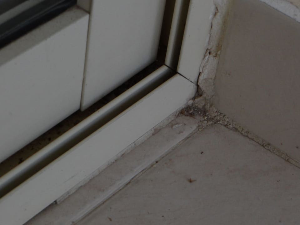 Brud wszechobecny Brayka Bay Resort