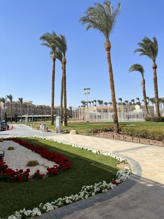 Gartenanlage Beach Albatros Resort