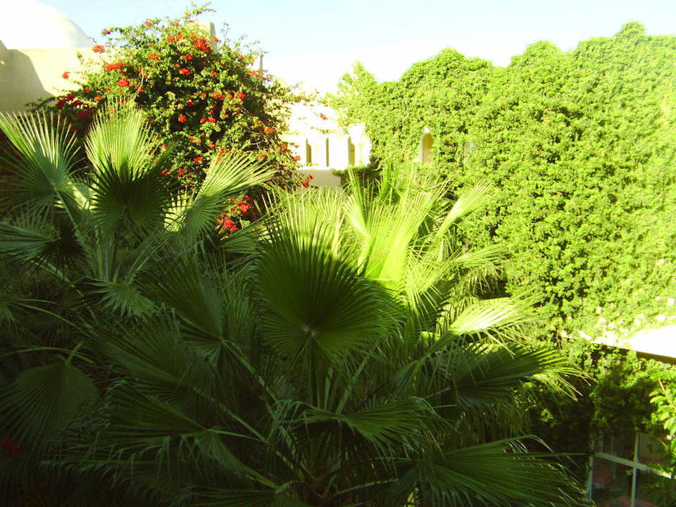 Gartenanlage Mahdia Beach & Aquapark