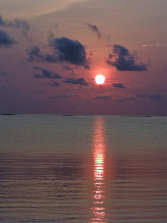 Strand Neptune Pwani Beach Resort & Spa