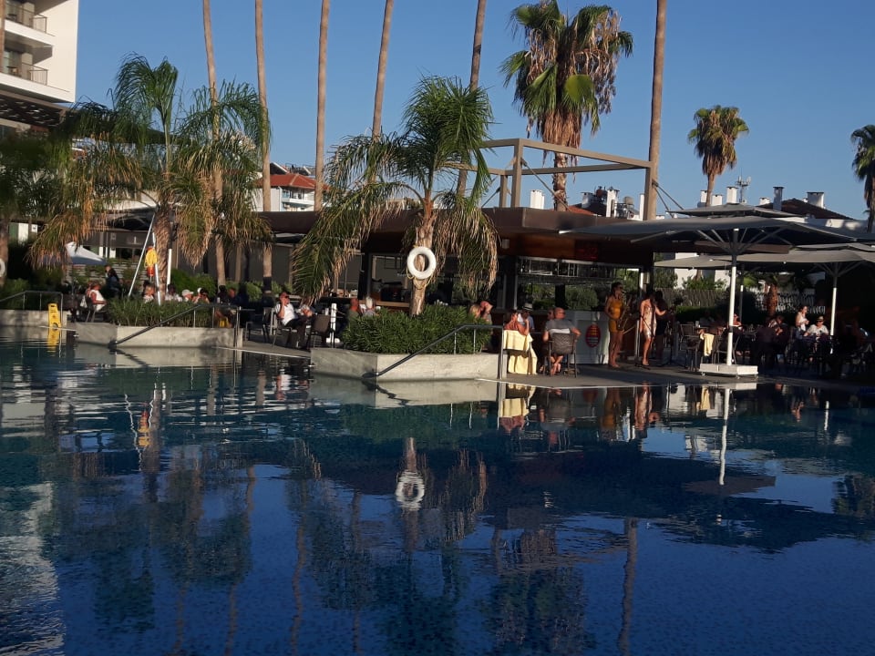 Pool Acanthus Cennet Barut Collection