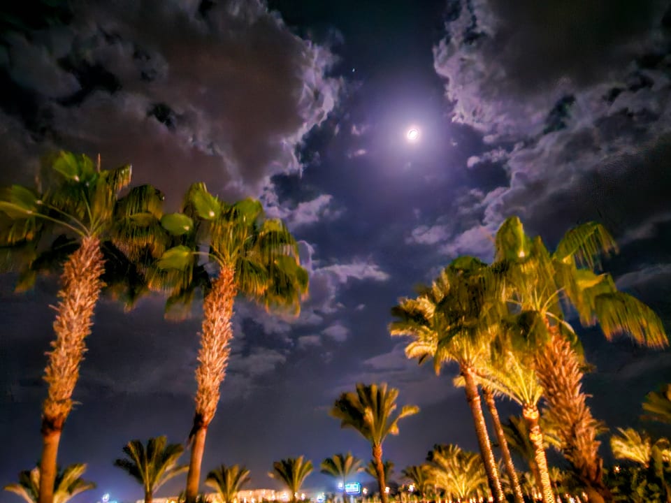 Ausblick Steigenberger Coraya Beach - Adults only